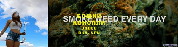 трава Беломорск