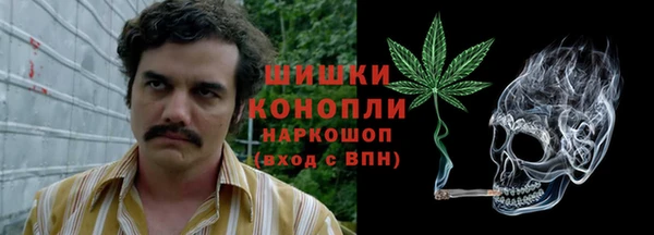 бутират Богданович