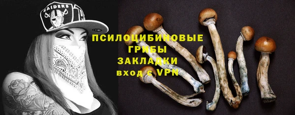 прущая мука Дмитриев