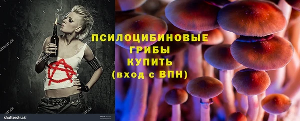 бошки Струнино